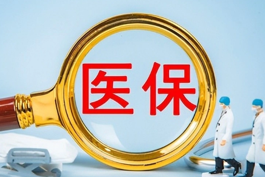 医保医保提取公司